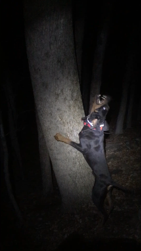 3EEF2A42-04B3-49F4-A14A-1A1795AB87F9