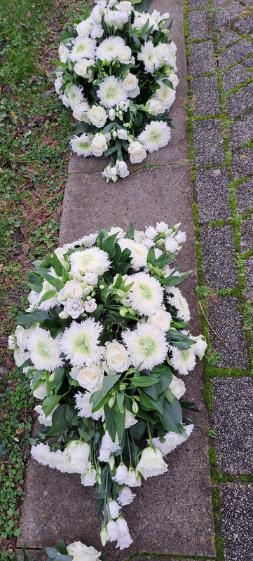 [Image: 20231215-113311.jpg]