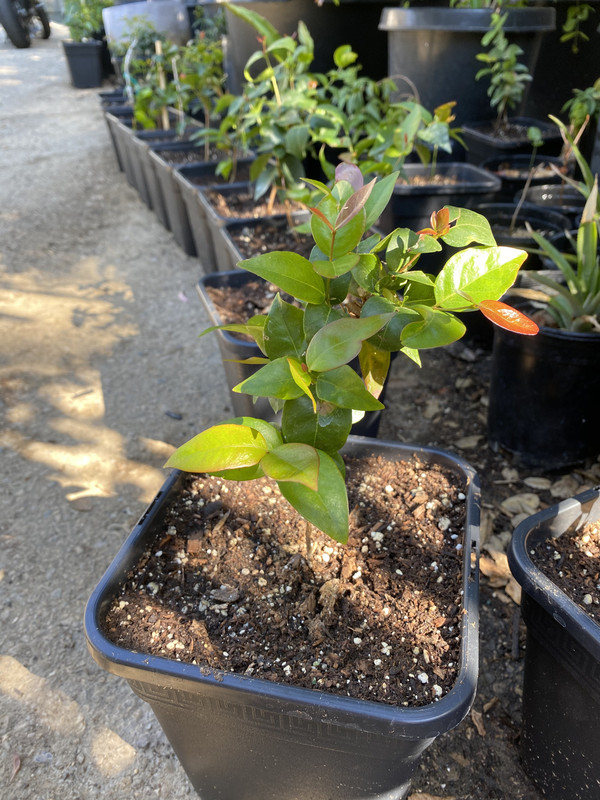 3F3951FC-BFE4-453A-AE46-9A0AD3AF9DE3