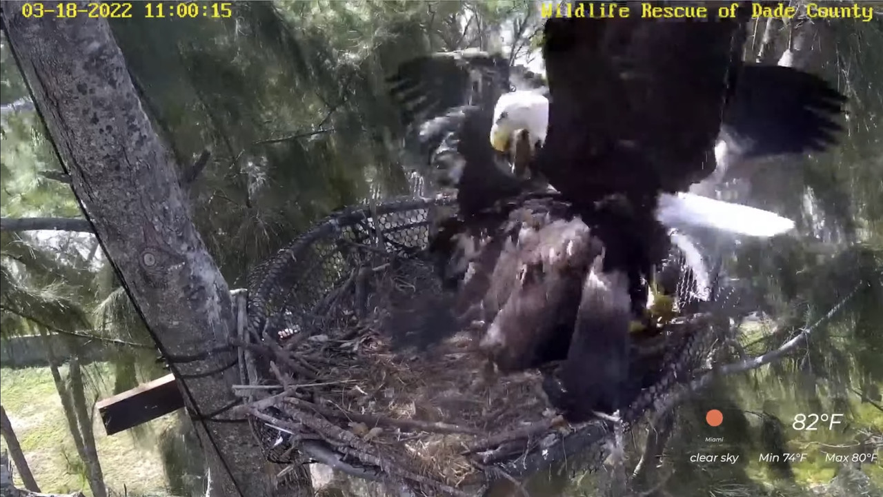 08E9F1DC-B6A8-4C21-BF34-DD7750A99F19