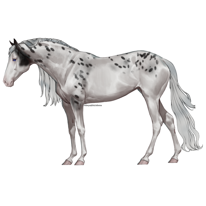 Untitled88-20250424195552.png