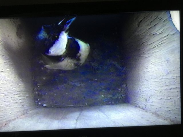 42A6A61B-0D03-4E39-83AC-7FEC875F491A