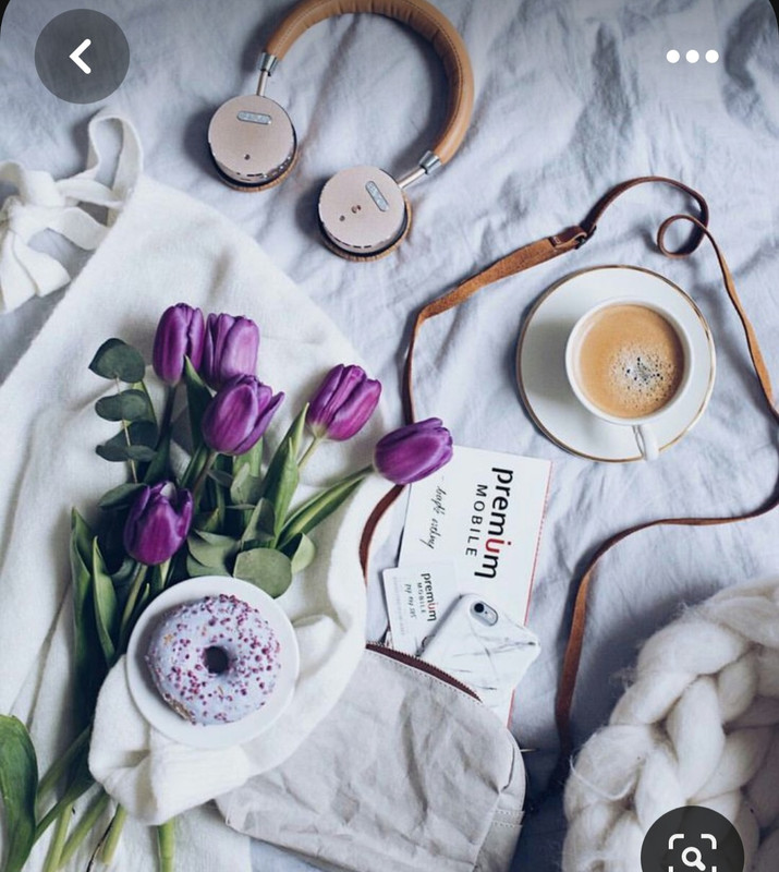 Screenshot_20230808_002401_Pinterest