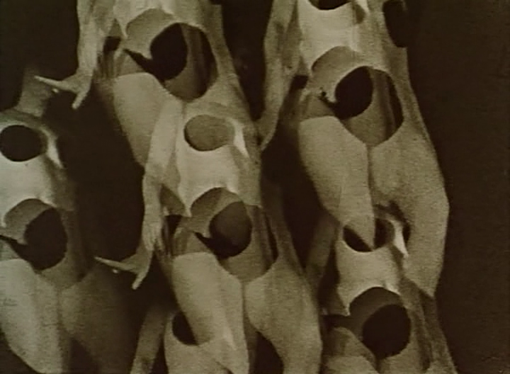 vlcsnap-2021-09-11-17h54m01s439