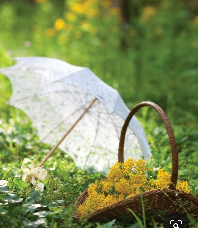 Screenshot_20240404_203933_Pinterest