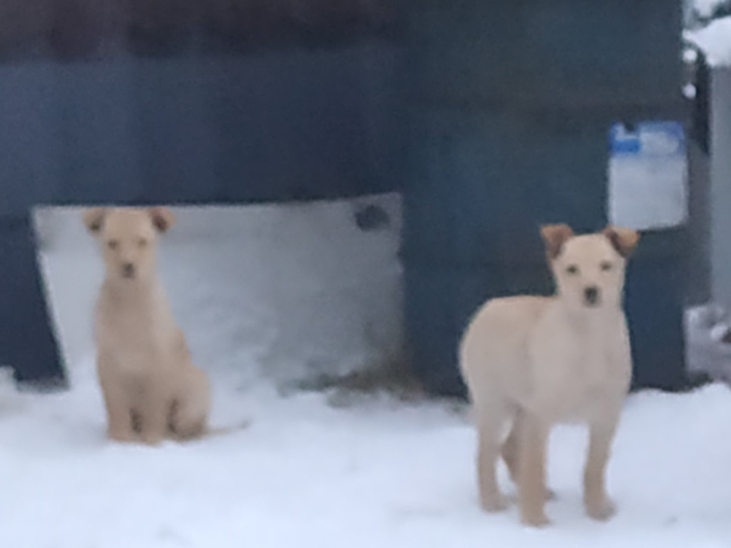 8A8CE694-96B8-46D5-BE6C-BD179EE898C4