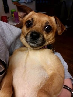 20180208-111628.jpg