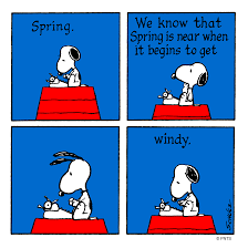 Spring-Winds