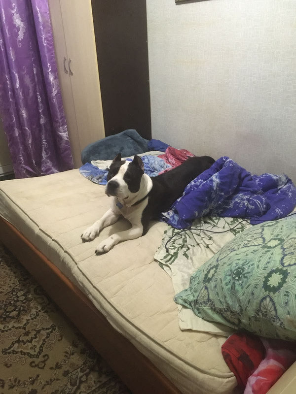 DF688882-A079-439E-B0F4-CDB9CFB5AB60