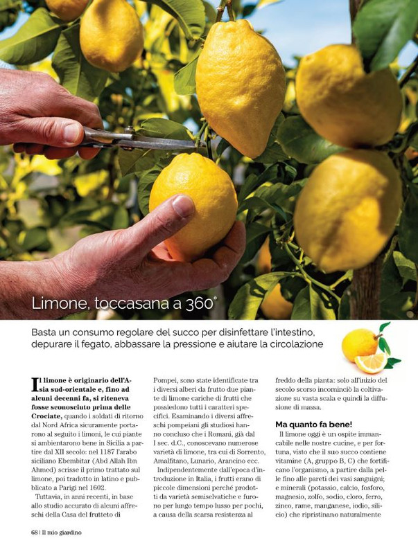 Il Mio Giar Dic 2022-Gen 2023 (7)