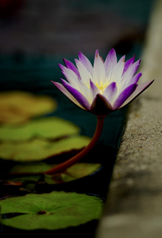 IMG 7745 — Postimages