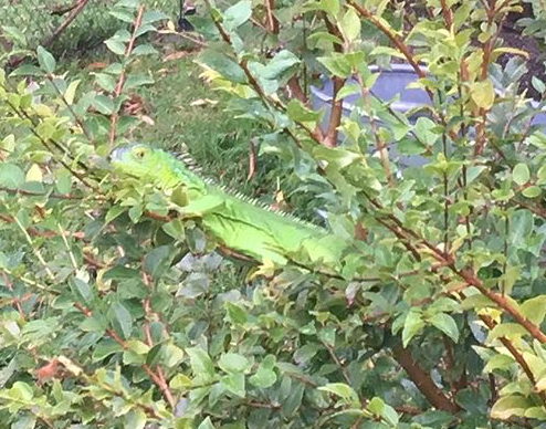 4A69D463-6E4A-4962-B016-4C5FBC5CAEDD