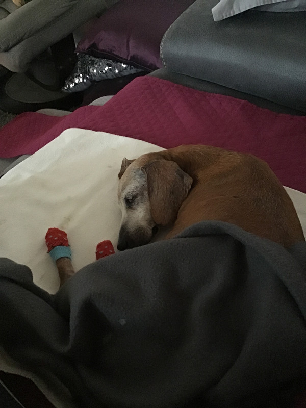 [Image: 8027540-D-4529-43-B8-BD76-66-E74546-A6-AE.jpg]