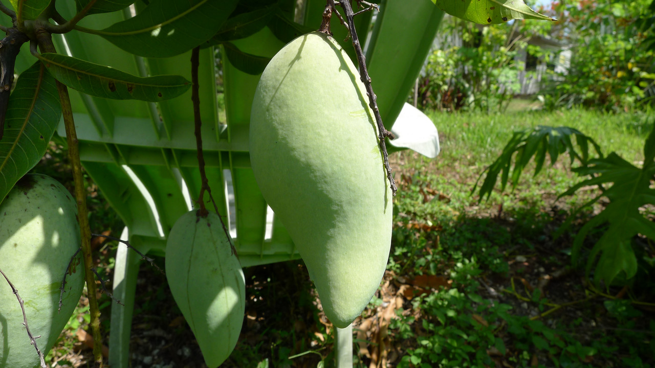 P1050029