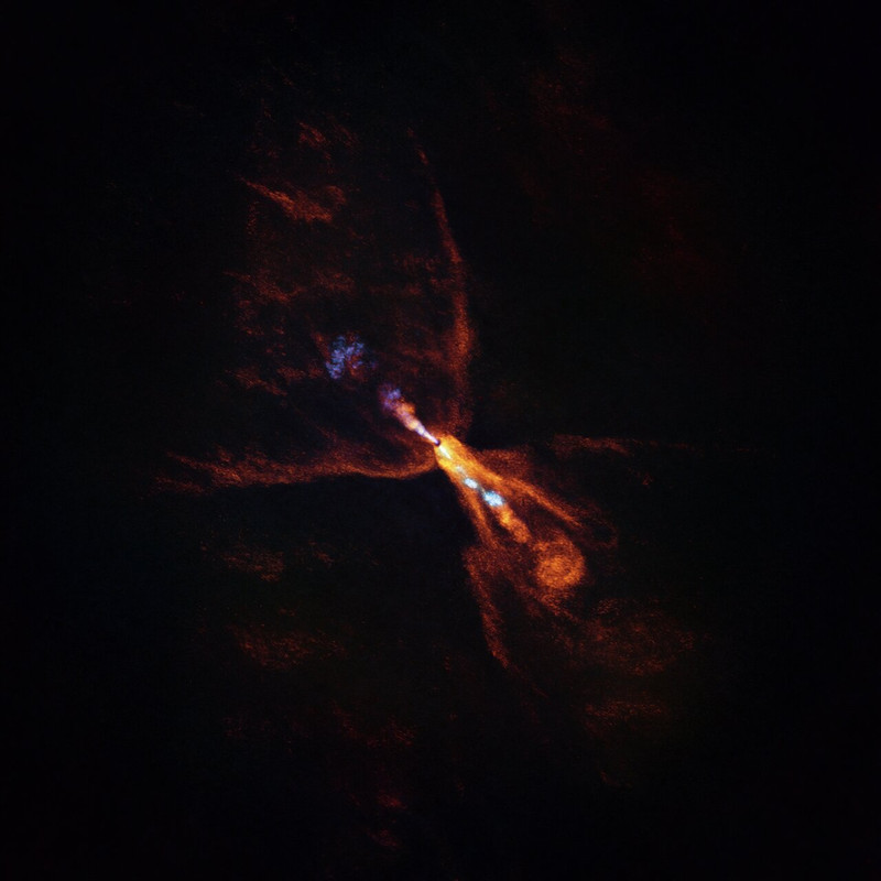 20250731-hops-351-eso2512a