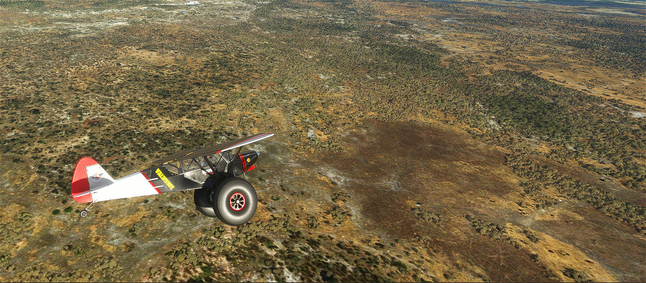 Savage-Cub-14.jpg