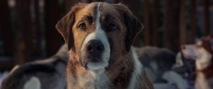 vlcsnap-2020-05-06-17h25m27s189