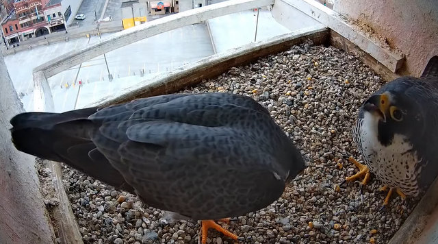 Przechwytywanie w trybie pełnoekranowym 24.03.2025 143718