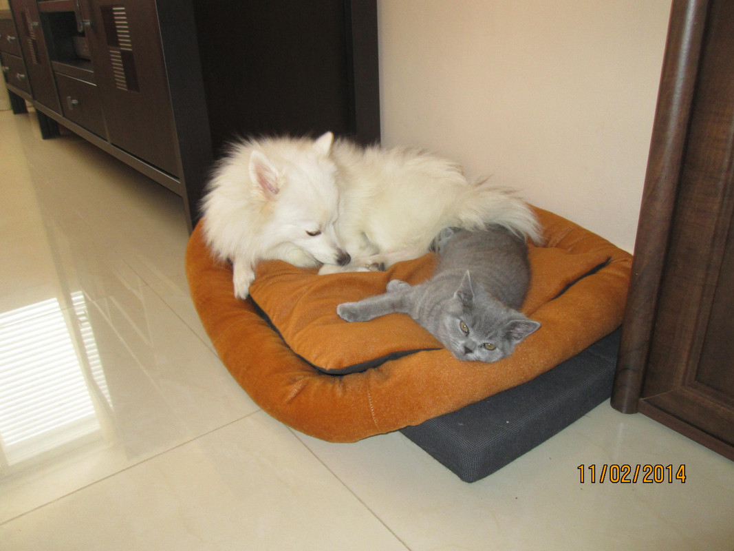 Изображение 058