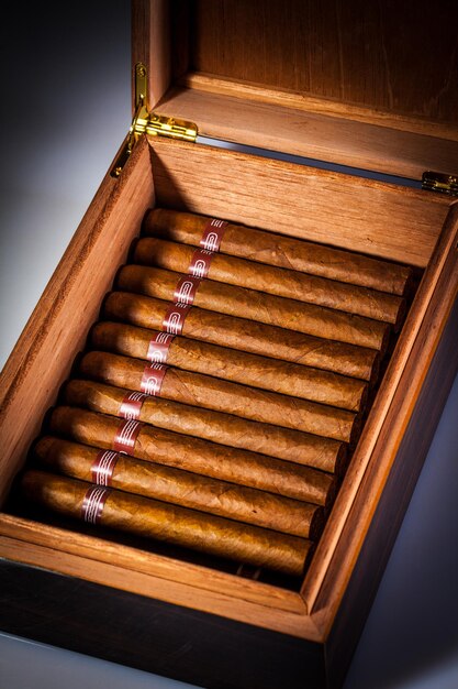 cigar