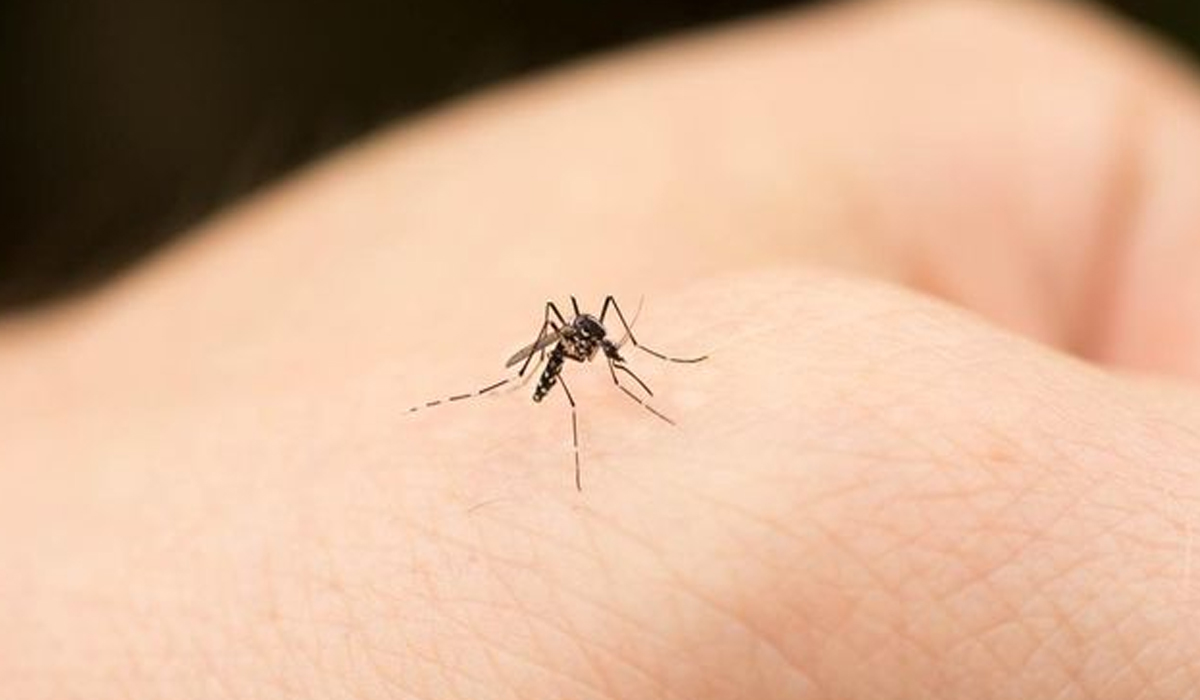 China Dilanda Wabah Chikungunya, AS Keluarkan Peringatan Perjalanan Level 2