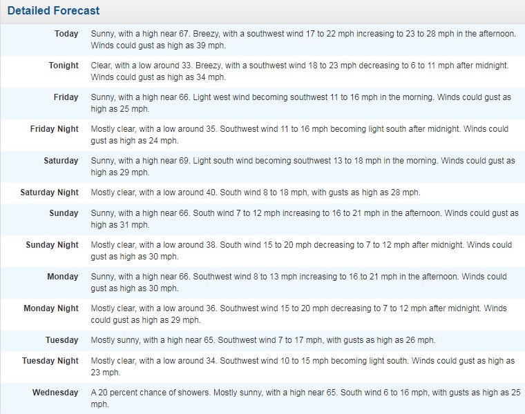 forecast