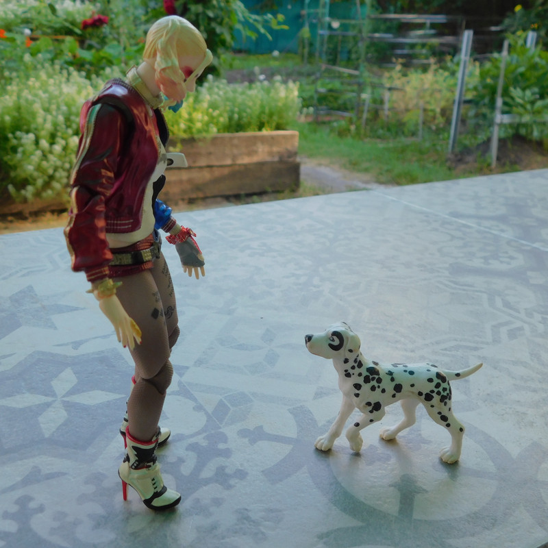 Дачно-Харлинский июнь-июль 2024 276