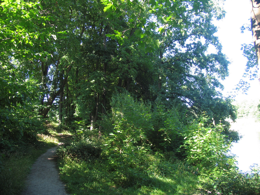 21 Июля 2024 016