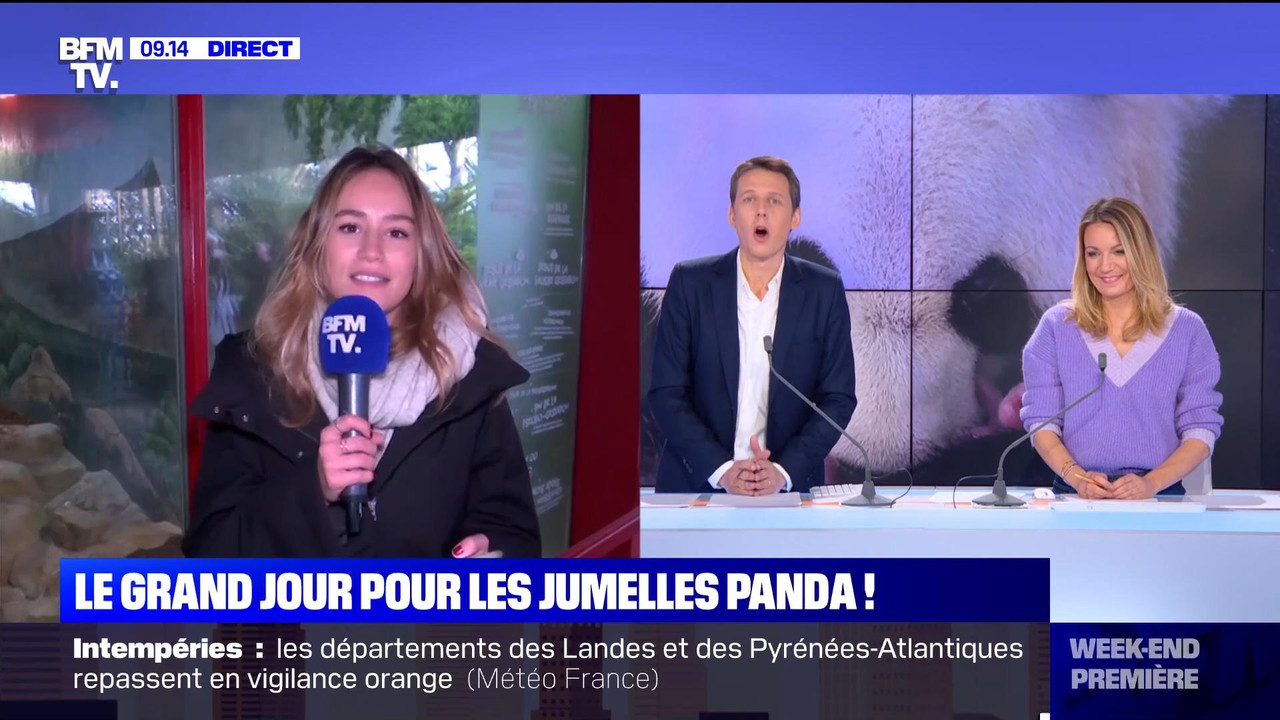 12.11 - 05.00.00 - Week-end première. L'émission propose un tour d'ho..._002.ts_snapshot_00.24.31_[2