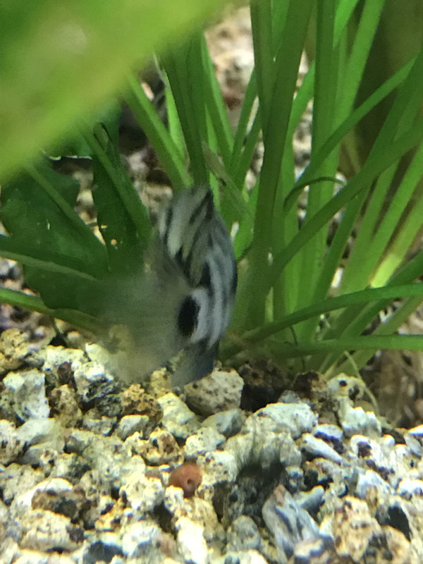 02BD8C43-63A9-457E-B5B7-6A1A7FAF27BF