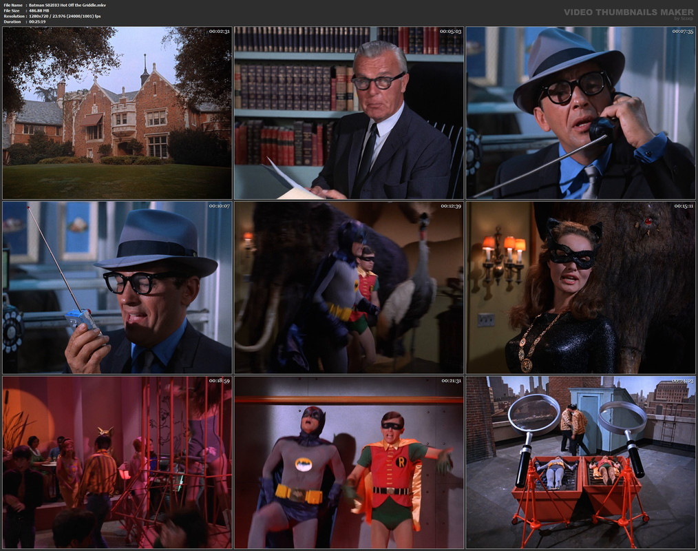Batman S02E03 Hot Off the Griddle.mkv