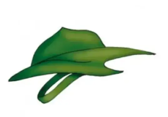 Chapéu Pétaso