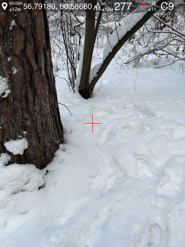 photo 2026 01 12 06 43 00