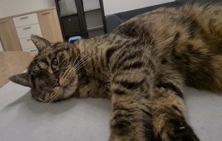 Screenshot_20240313_100200_Gallery