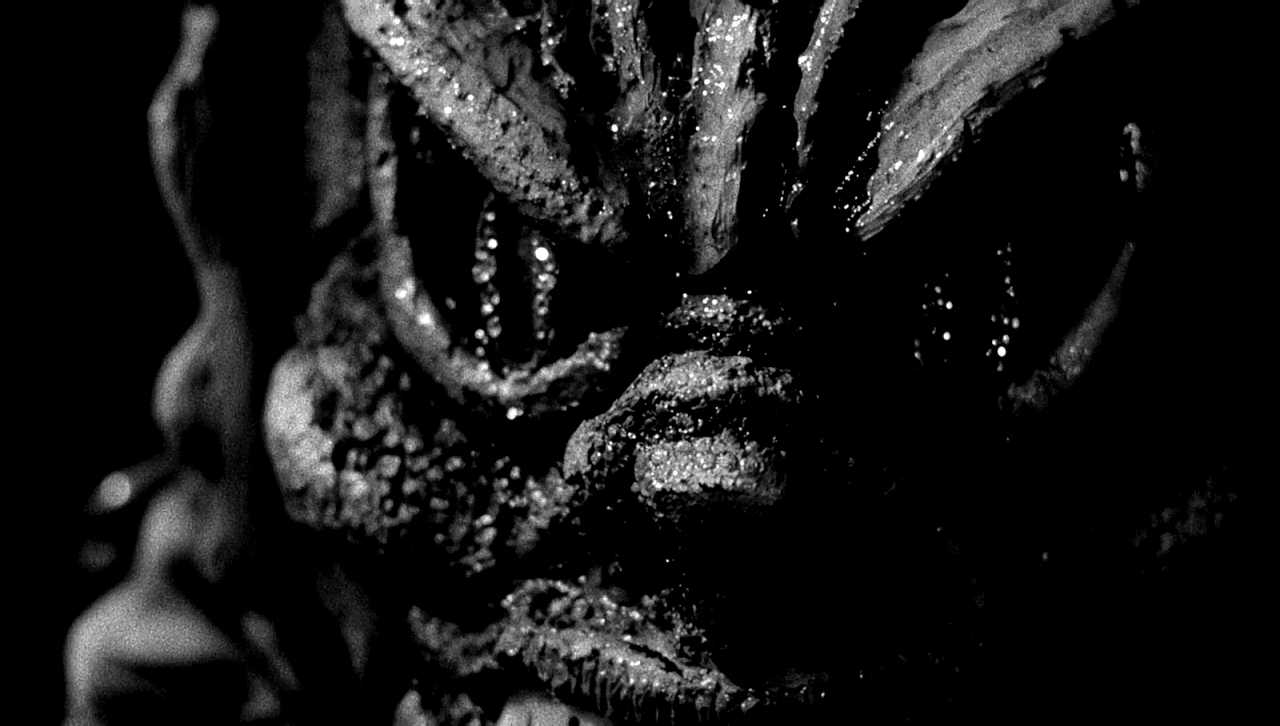 SHE CREATURE REFERENCE (1)