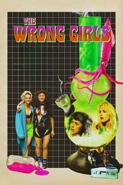 The Wrong Girls 2026 1080p WEB-DL DDP5.1 x264-TFPDL