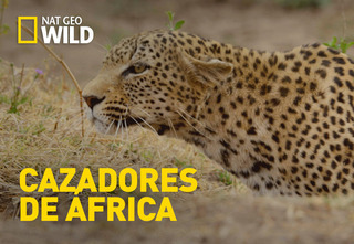 image - Cazadores de África Temporada 3