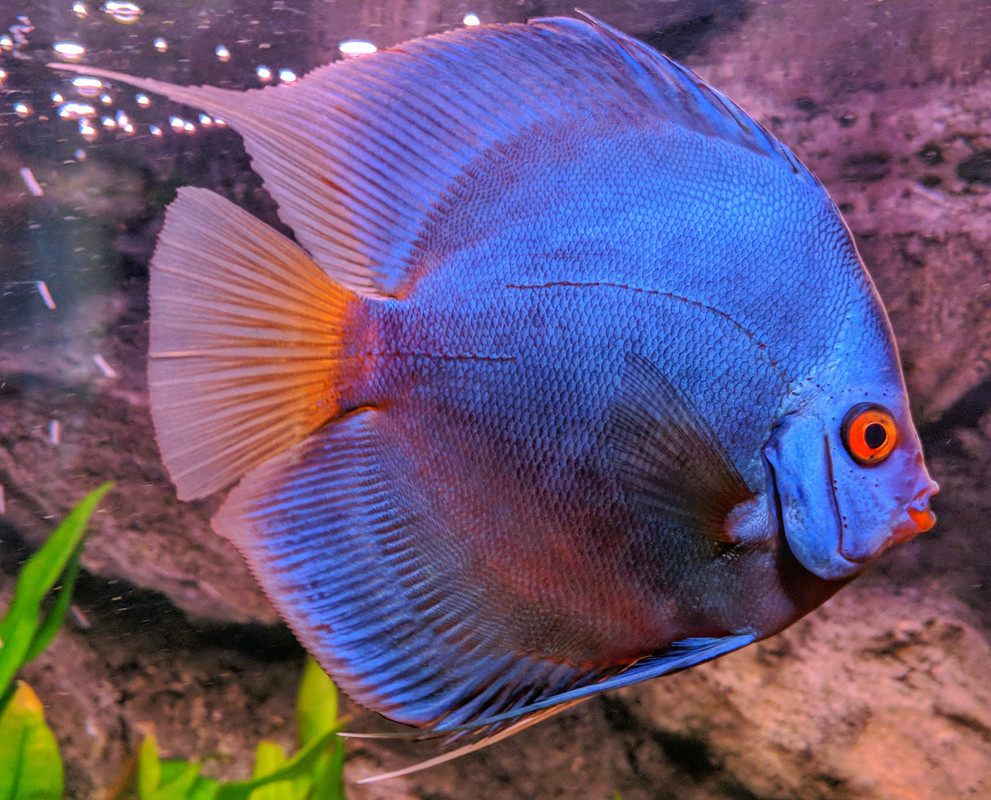 IMG_20171016_171539-01