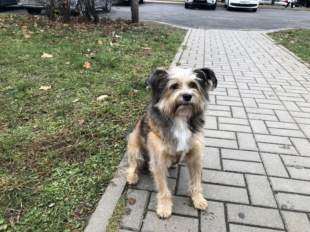 756FCD08-86FE-4C8E-8755-2BBCD3BE6D66