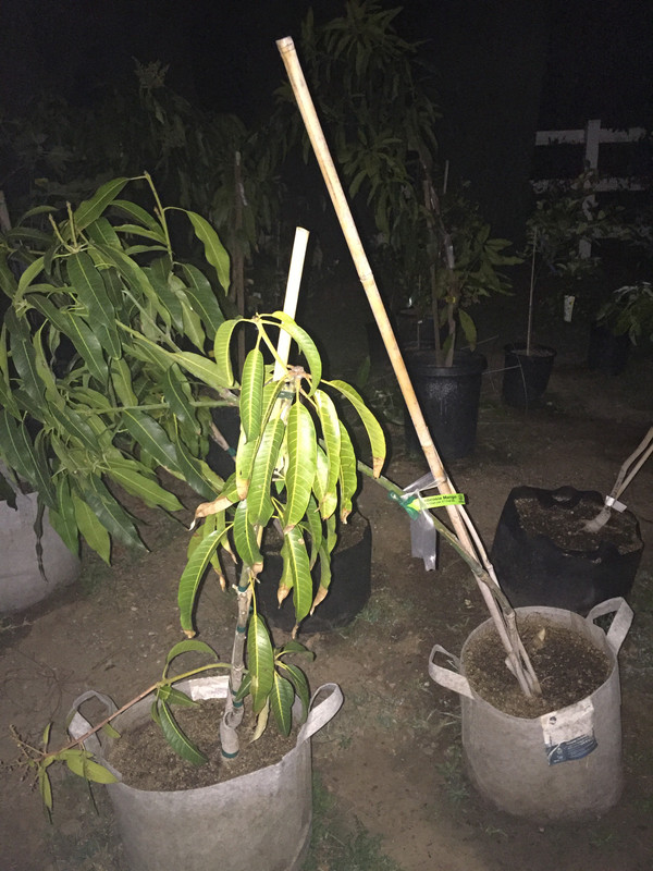 FBF3281A-182F-48C3-8CDB-DB0E04BD1282