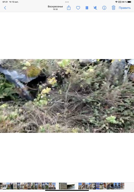 360B96D5-EC6D-4611-B418-CC294B55157D