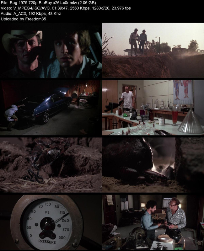 Bug-1975-720p-Blu-Ray-x264-x0r.jpg