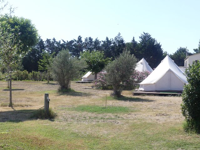 16 aout Marsillargues Carbu et Vachette (3)