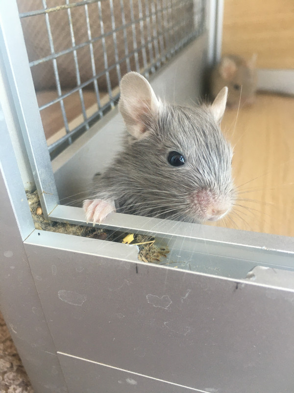 8F84055F-668C-455E-8E1E-5B6093370109