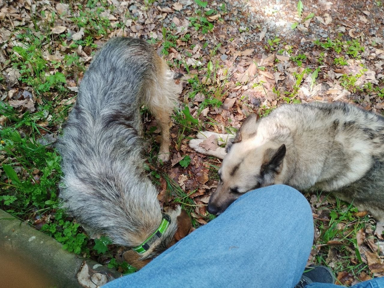photo 2026 05 15 18 19 41