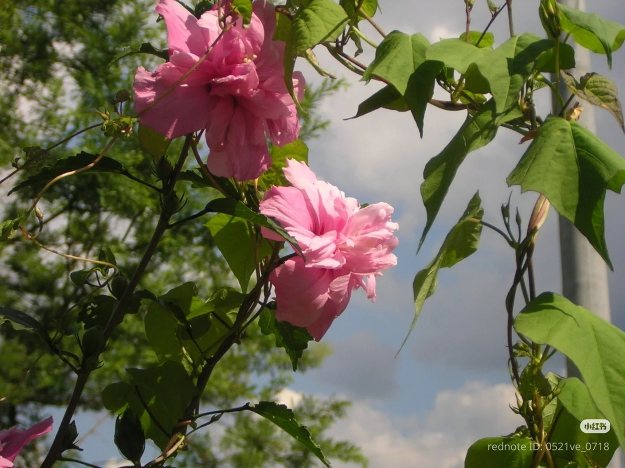 photo 18 2025 12 24 16 22 41