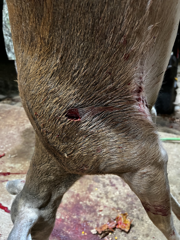 DA1F6248-9E3F-4ACD-BEF0-521289B0842C