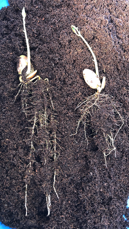 3AD7D299-C8B0-492B-91A1-D67CA7D5B11F