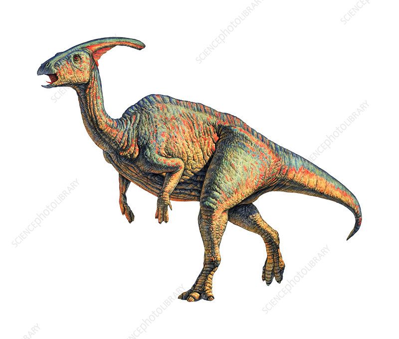 386bd35147f08b4a741f28415c4346bf