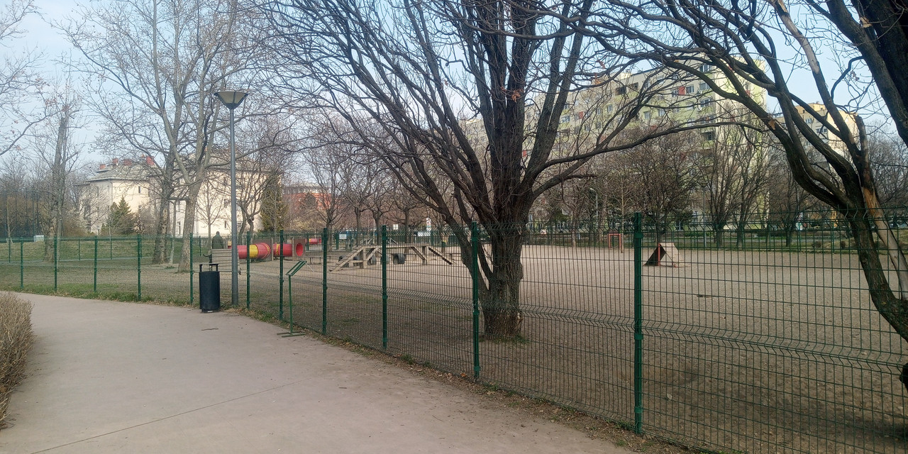 Kép